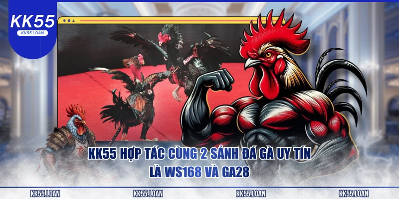 KK55 hợp tác cùng các sảnh gà uy tín
